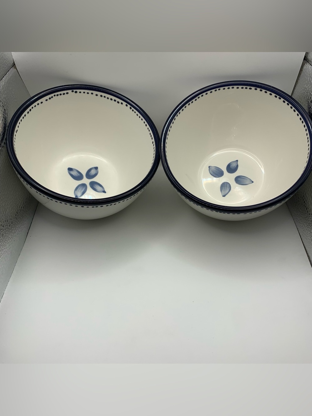 Pottery Barn Tiburon Blue Dots Leaves set of 2 Coupe Soup Cereal Bowls